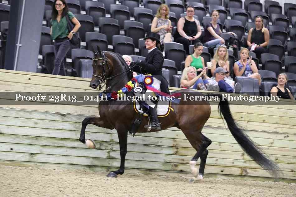 Proof 23R13_01411
