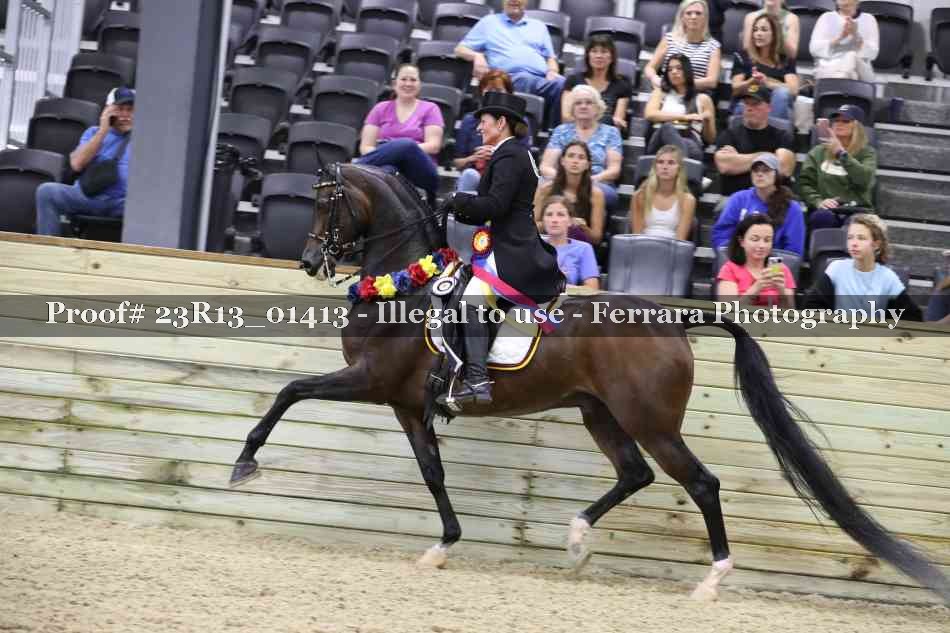 Proof 23R13_01413