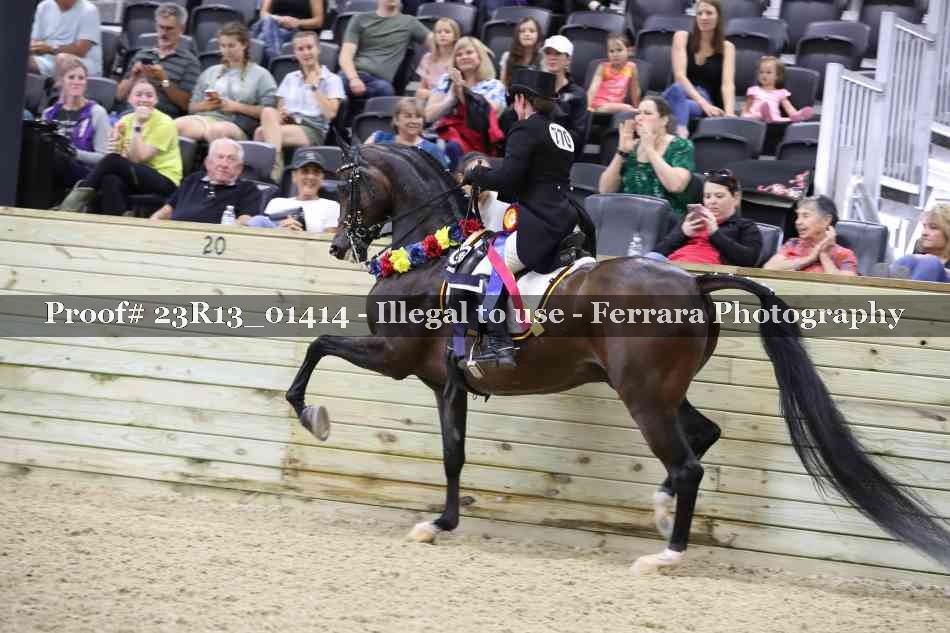 Proof 23R13_01414