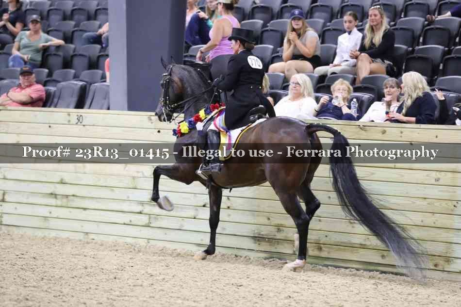 Proof 23R13_01415