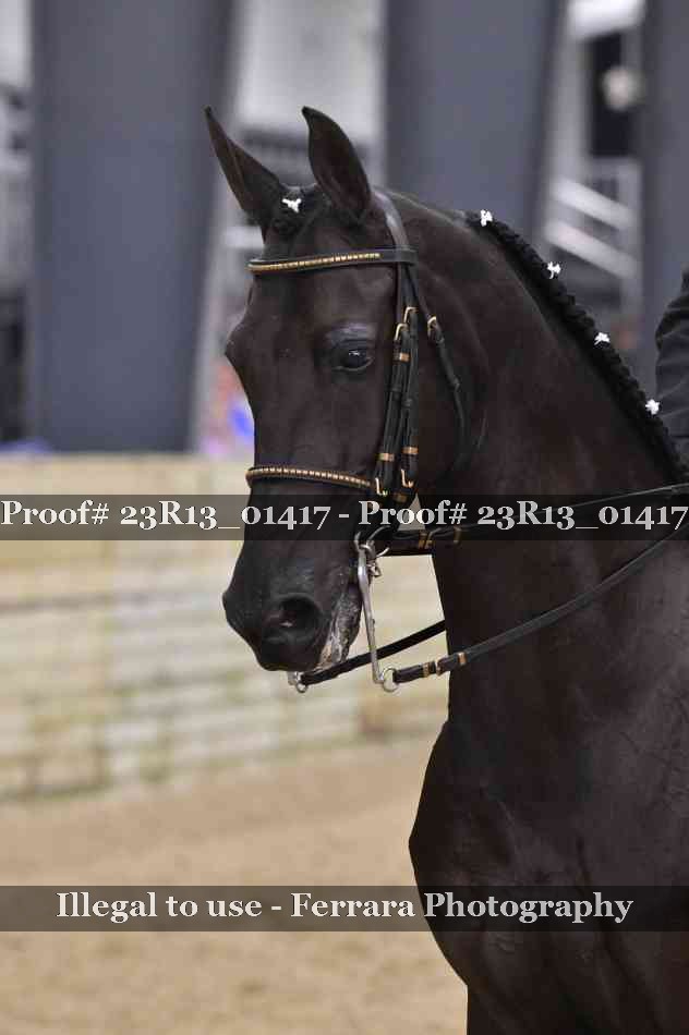 Proof 23R13_01417