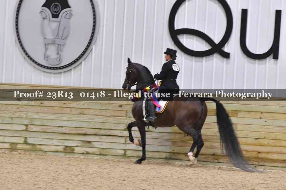 Proof 23R13_01418