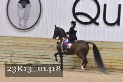 23R13_01418 proof