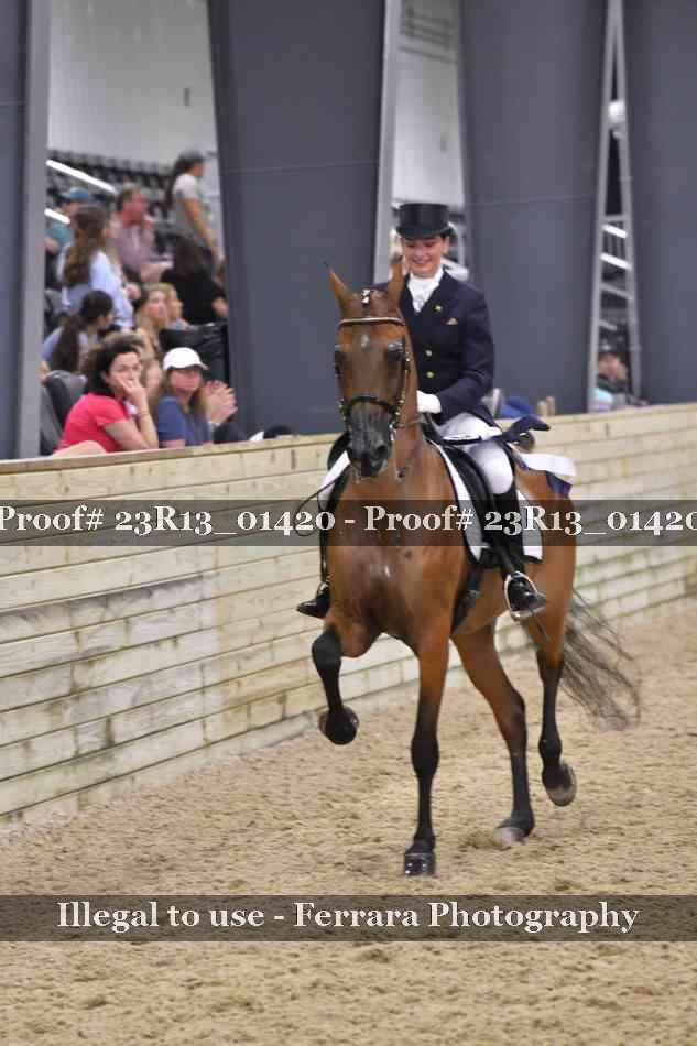 Proof 23R13_01420