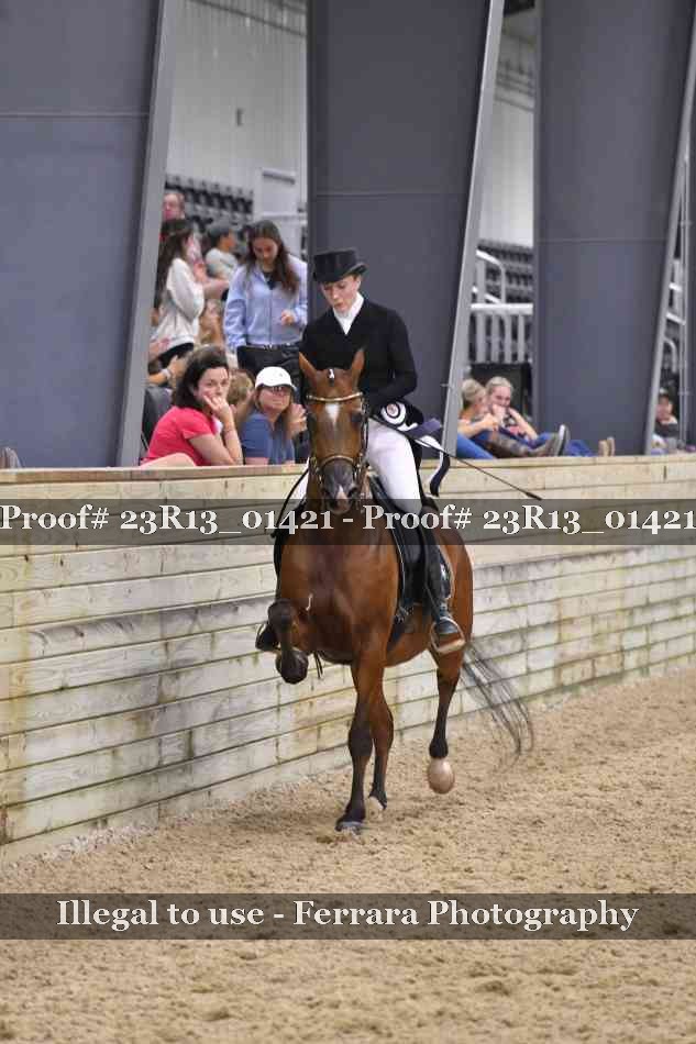 Proof 23R13_01421