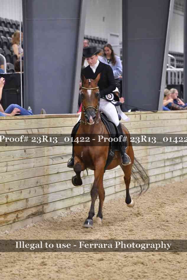 Proof 23R13_01422