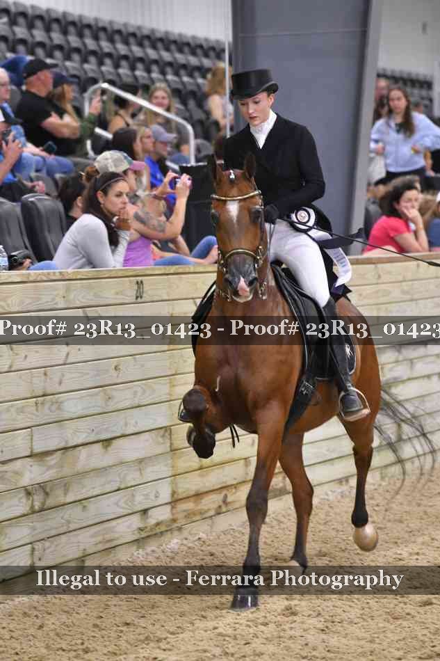 Proof 23R13_01423