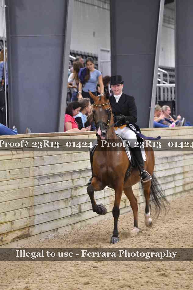 Proof 23R13_01424