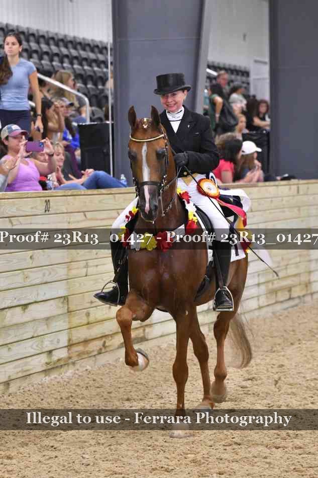 Proof 23R13_01427