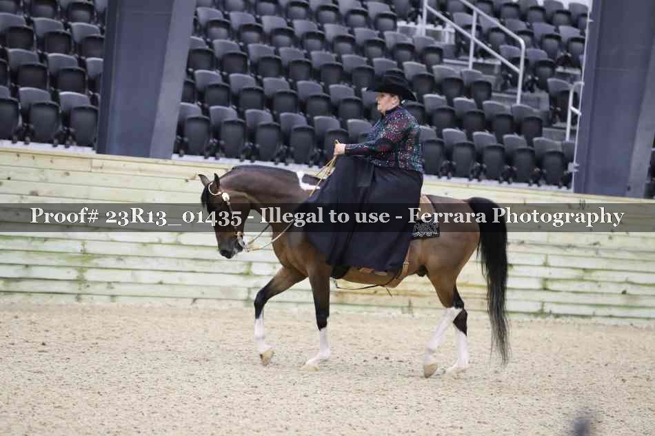 Proof 23R13_01435