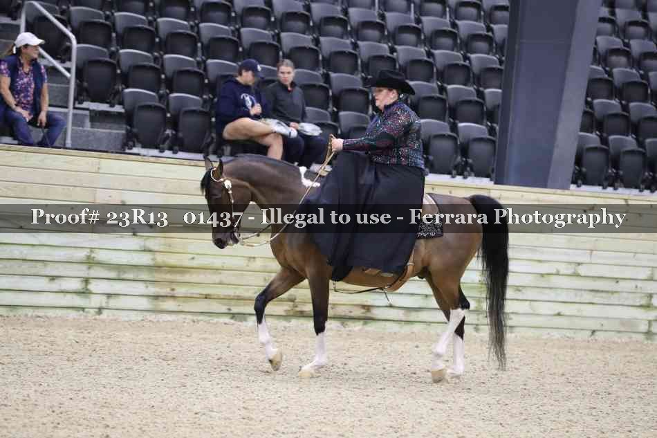 Proof 23R13_01437