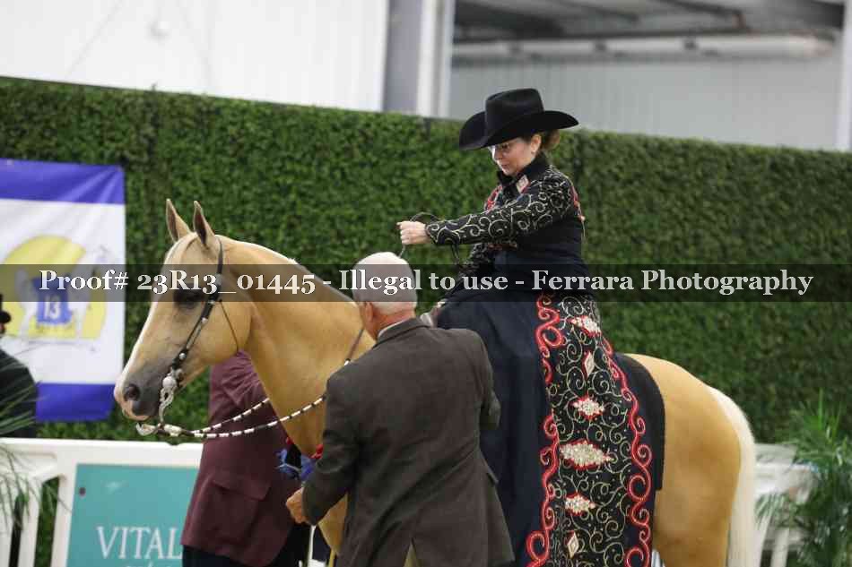 Proof 23R13_01445
