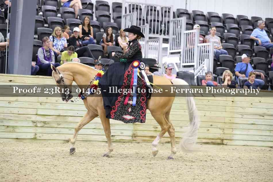 Proof 23R13_01465