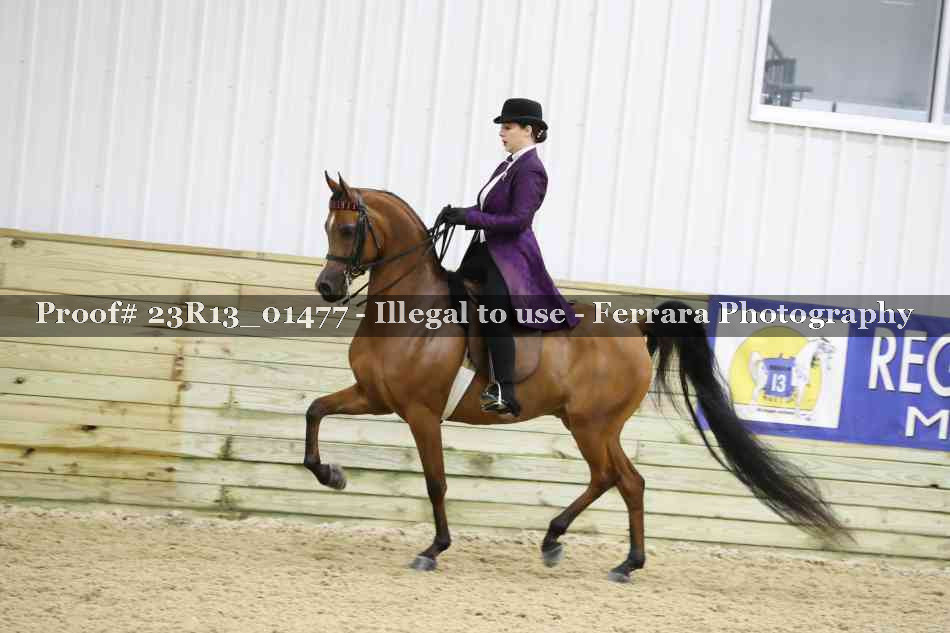 Proof 23R13_01477