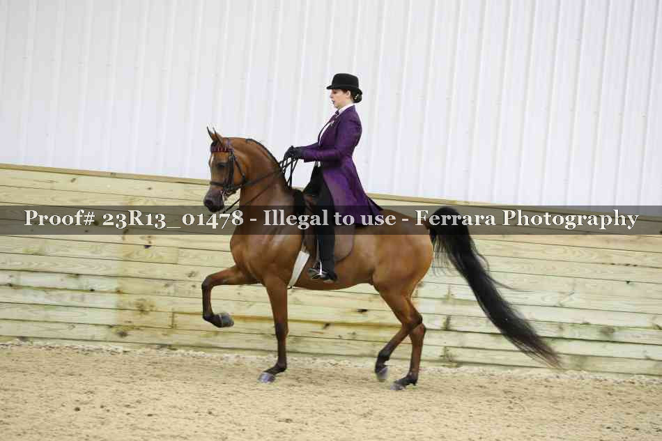 Proof 23R13_01478
