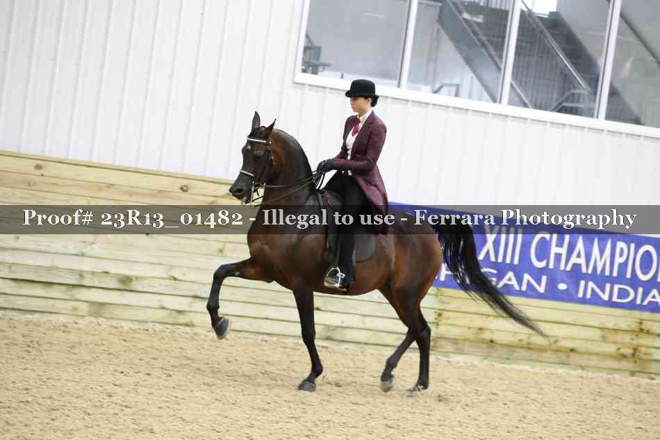 Proof 23R13_01482