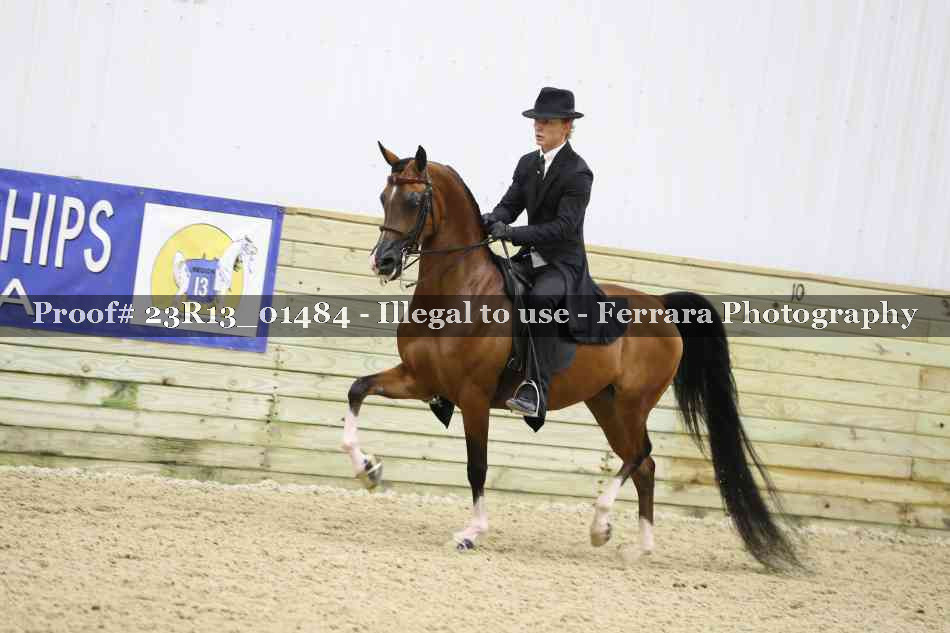 Proof 23R13_01484