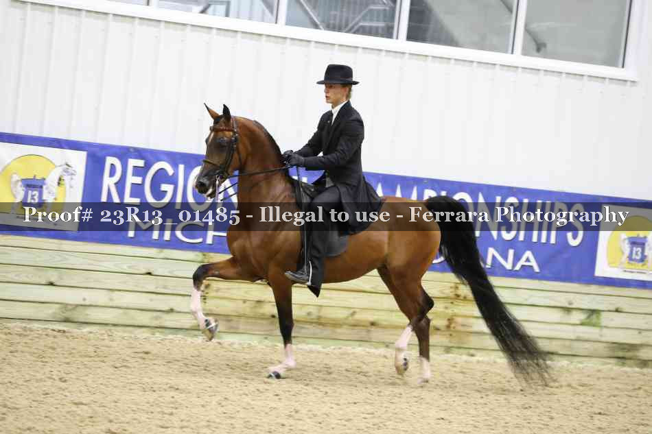 Proof 23R13_01485