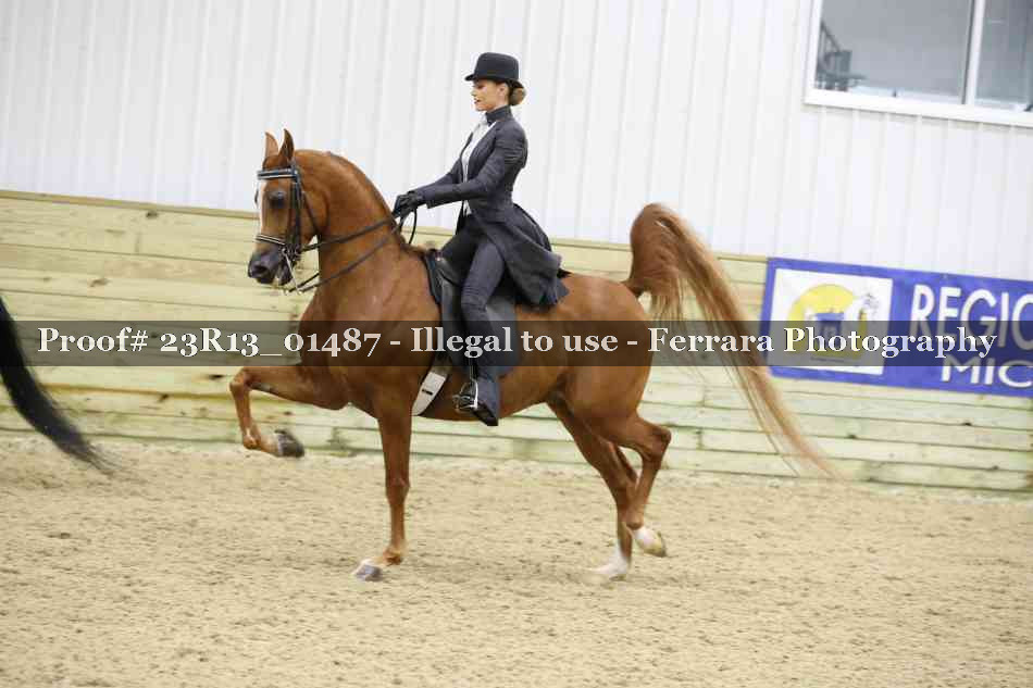 Proof 23R13_01487