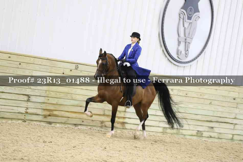 Proof 23R13_01488