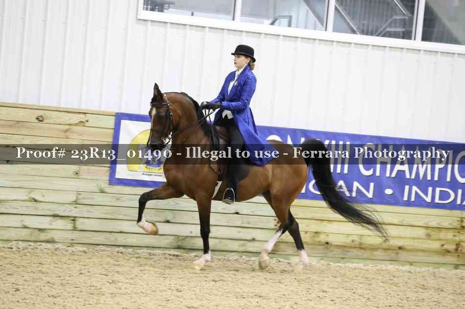 Proof 23R13_01490