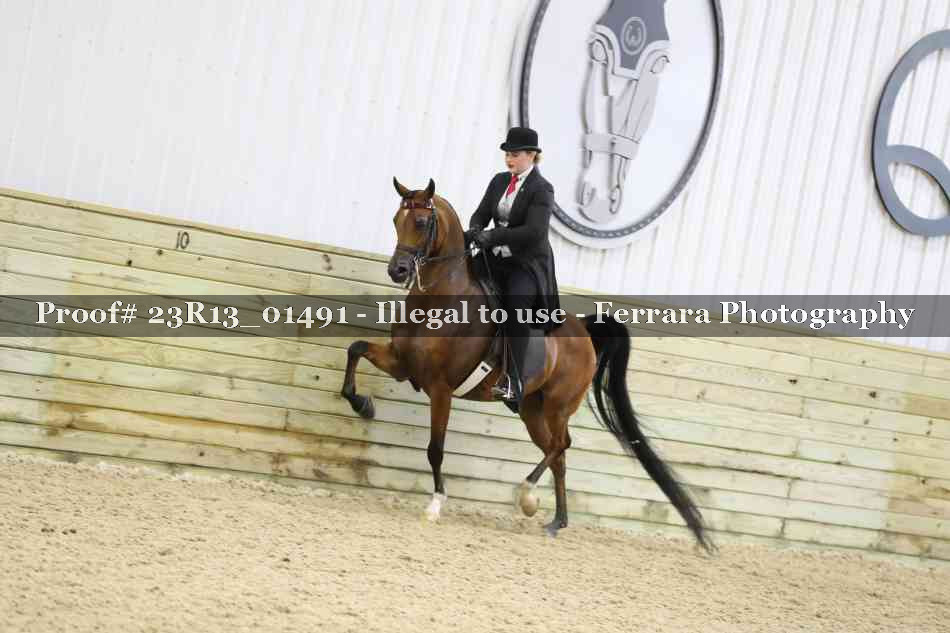 Proof 23R13_01491
