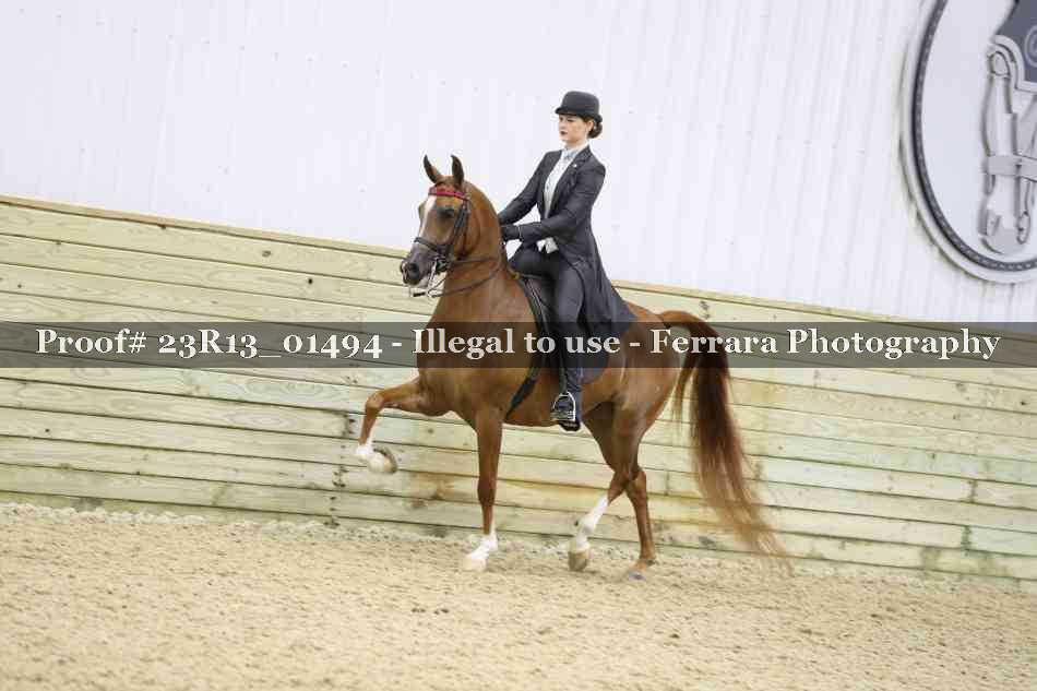 Proof 23R13_01494