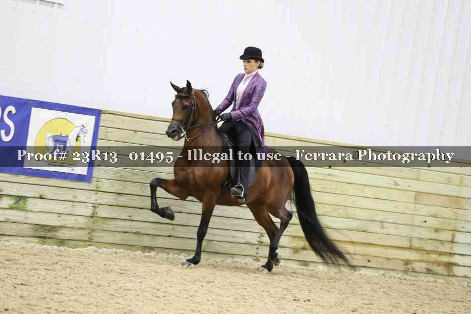 Proof 23R13_01495