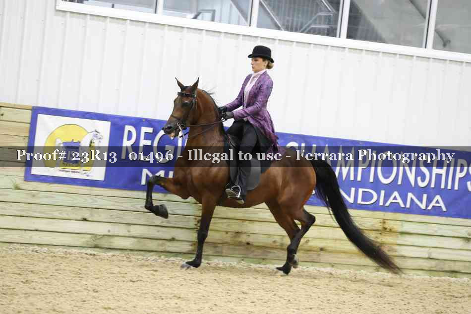Proof 23R13_01496