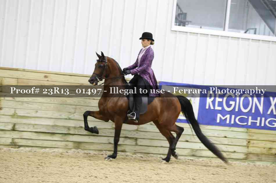 Proof 23R13_01497