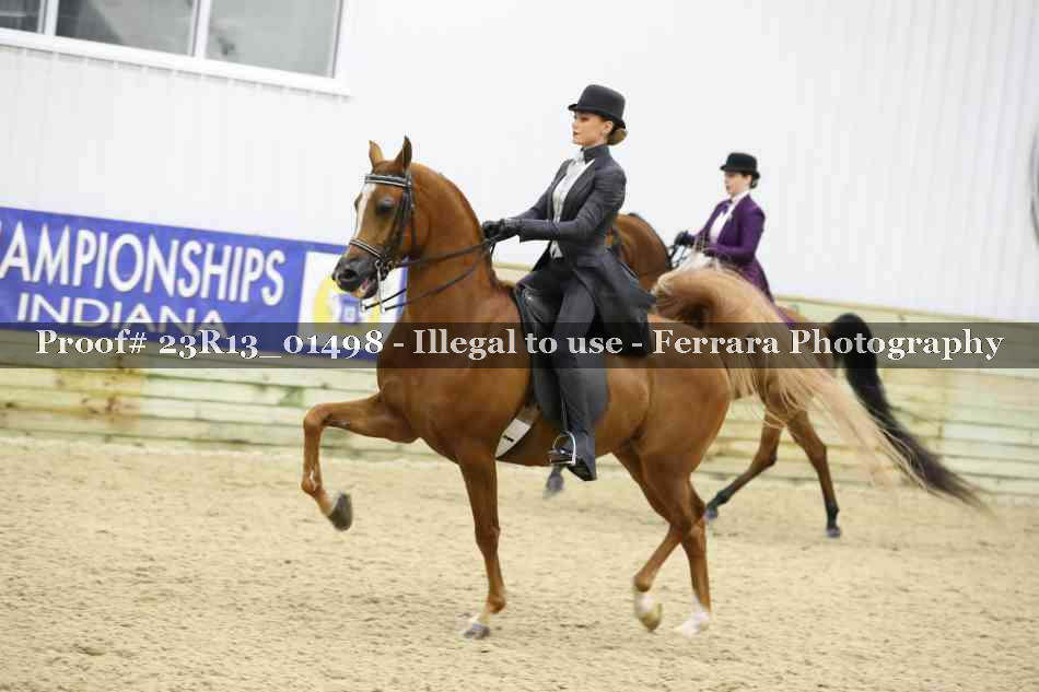 Proof 23R13_01498