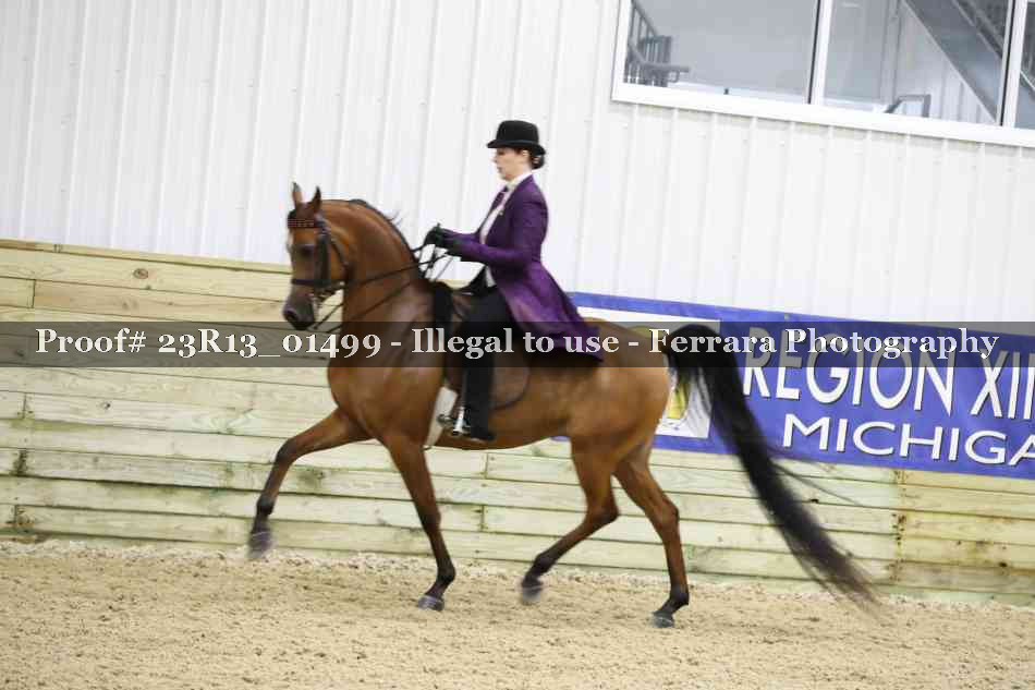 Proof 23R13_01499