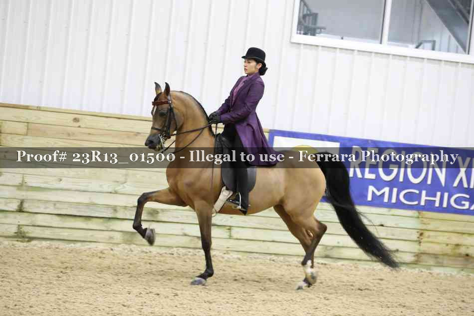 Proof 23R13_01500