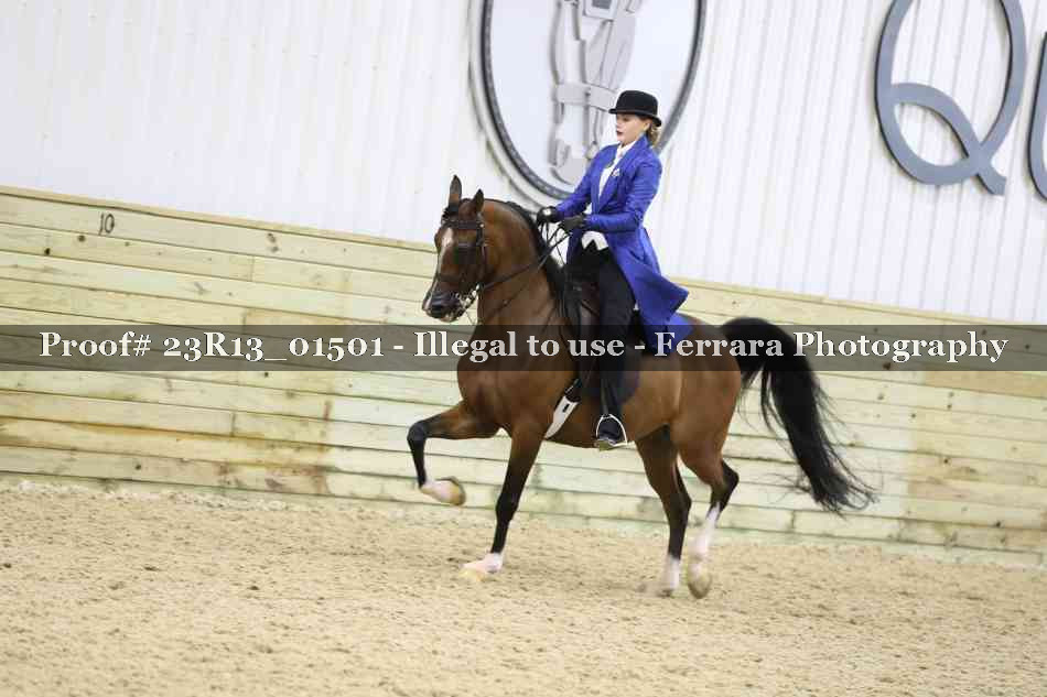Proof 23R13_01501