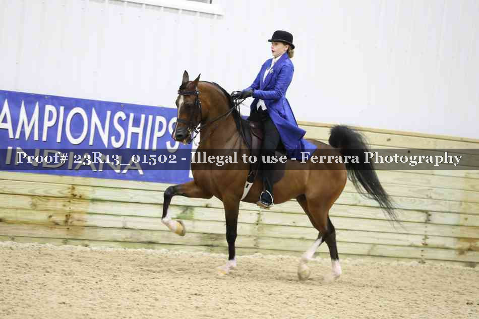 Proof 23R13_01502