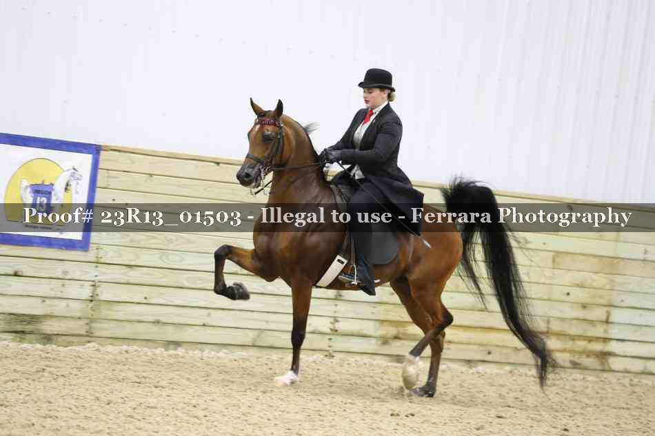 Proof 23R13_01503