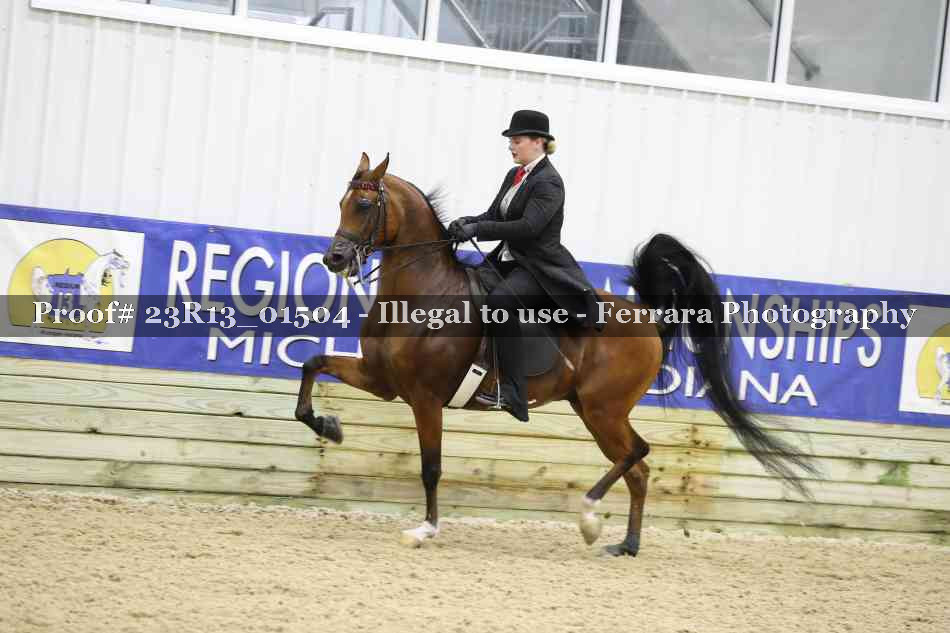 Proof 23R13_01504