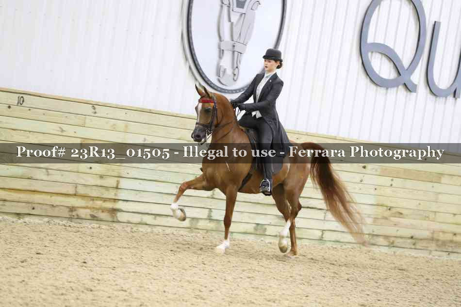 Proof 23R13_01505