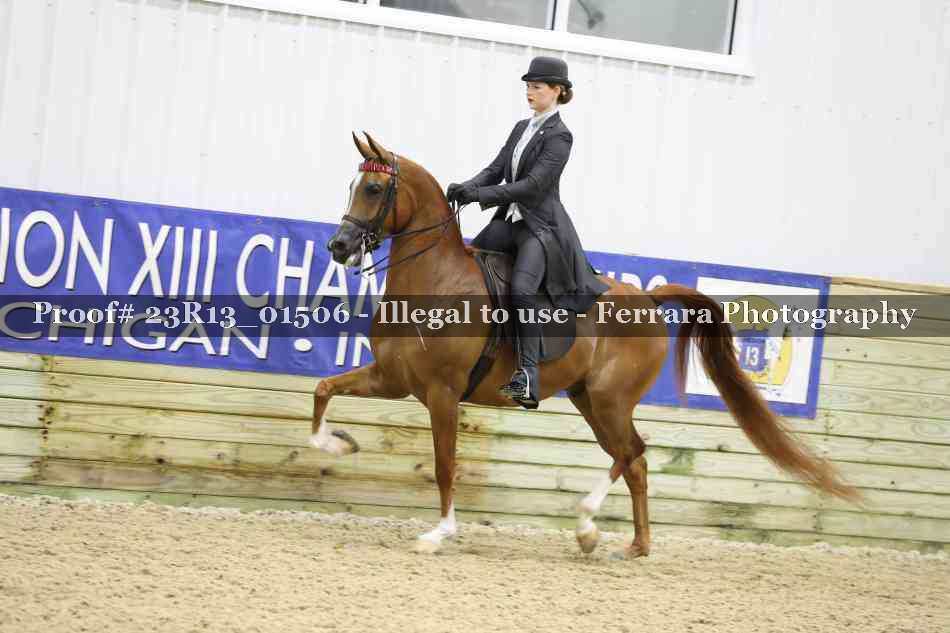Proof 23R13_01506