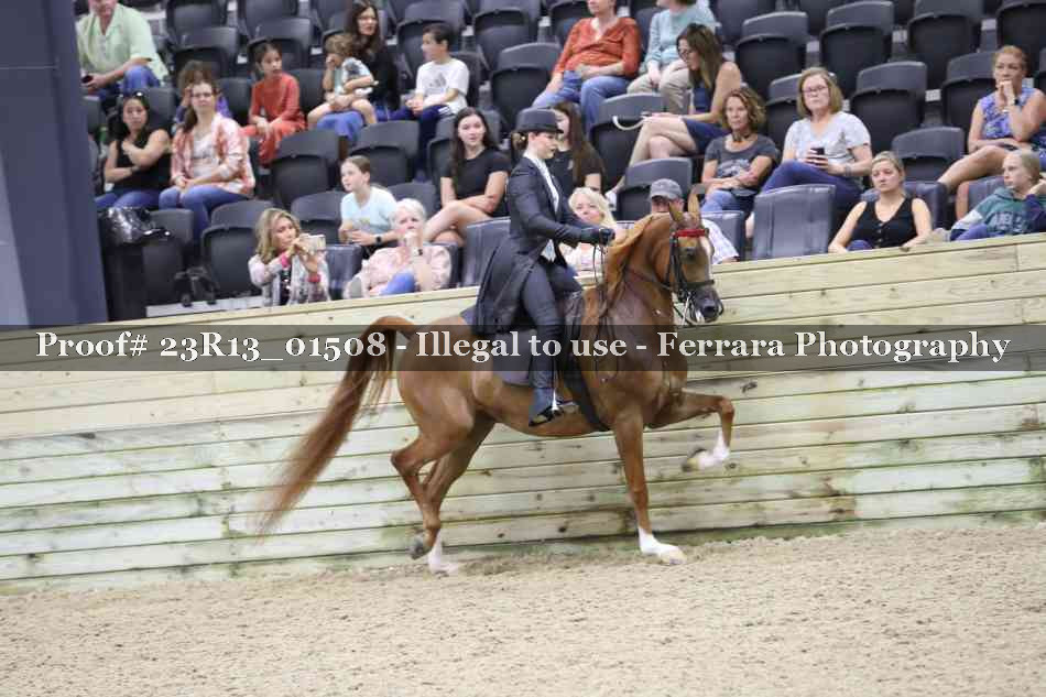 Proof 23R13_01508
