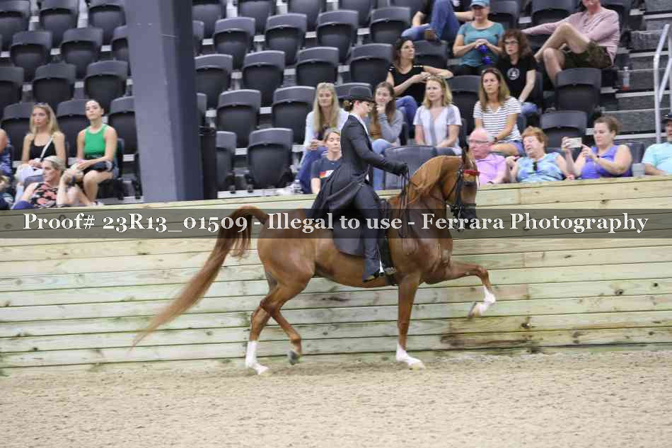 Proof 23R13_01509
