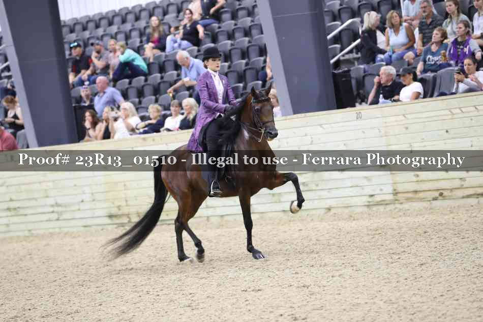 Proof 23R13_01510