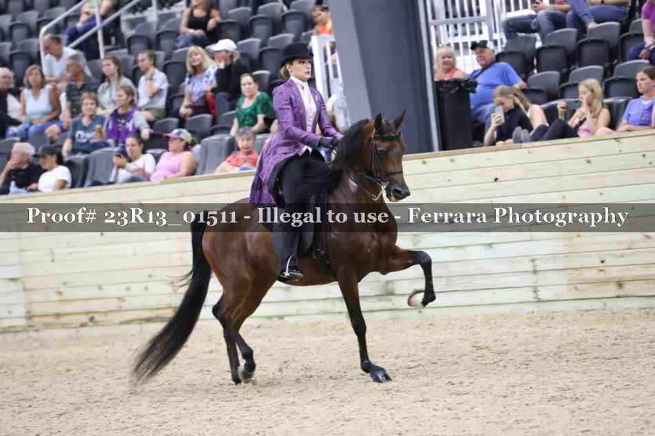 Proof 23R13_01511