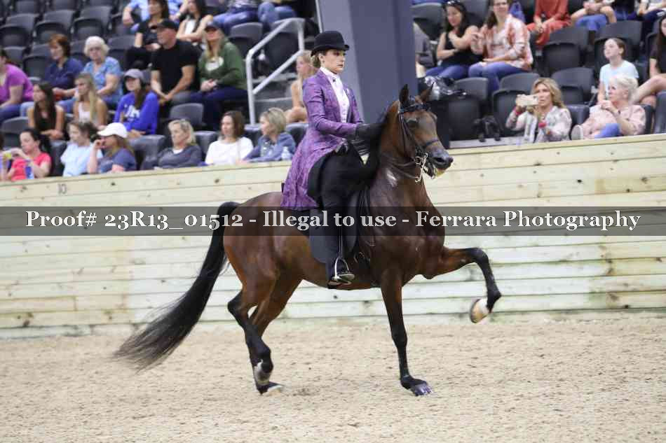 Proof 23R13_01512