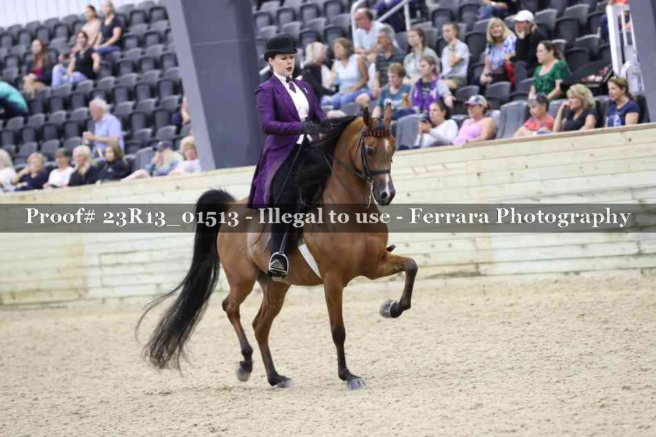Proof 23R13_01513