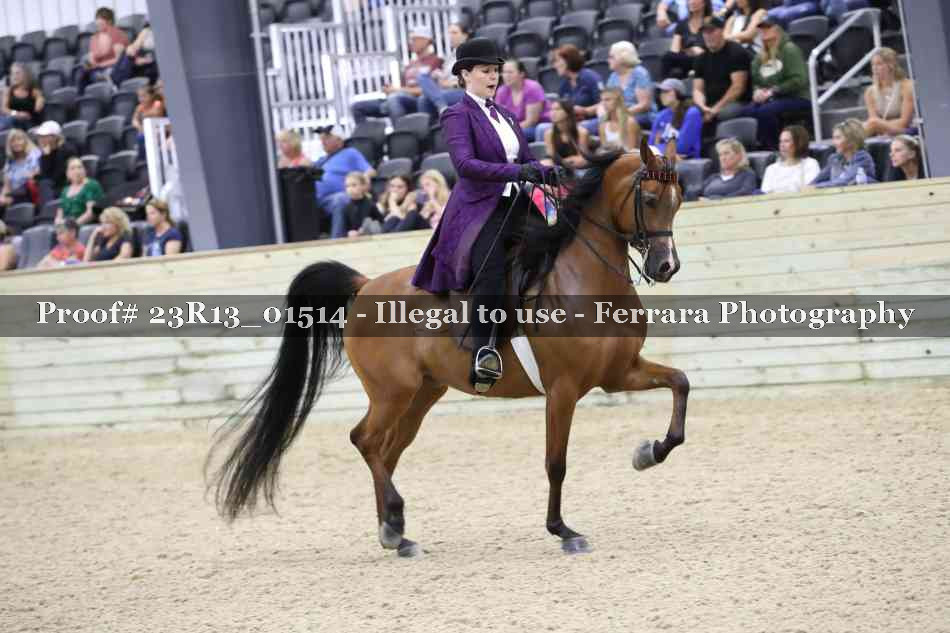 Proof 23R13_01514