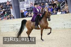 23R13_01514 proof