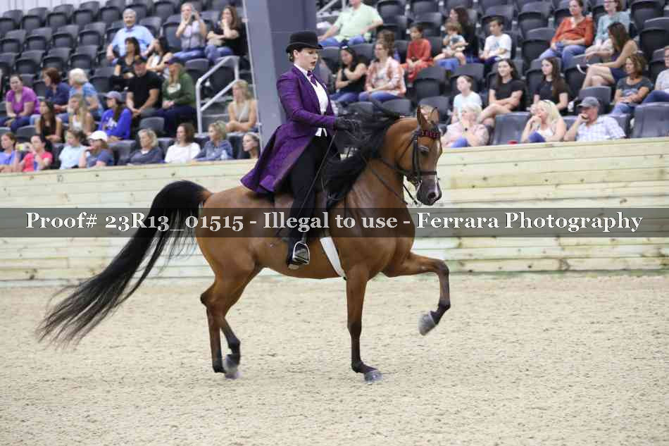 Proof 23R13_01515