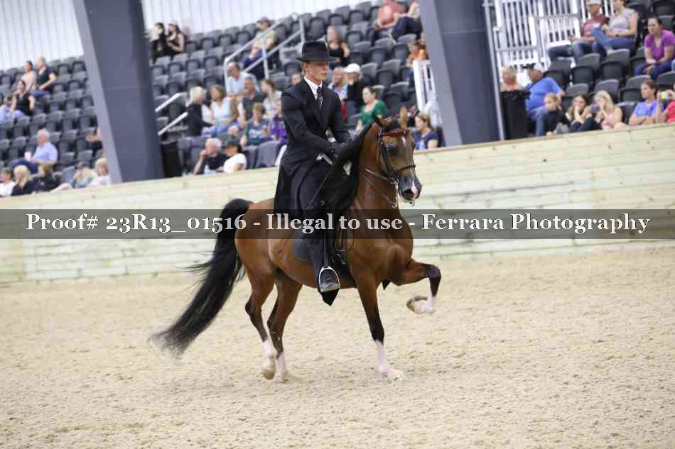 Proof 23R13_01516