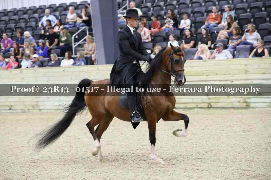 Proof 23R13_01517